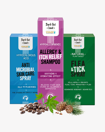Grooming Essential Combo - Anti-Microbial Spray, Anti Allergy and Itch Relief Shampoo and Natural Flea & Tick Spray